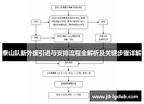 泰山队新外援引进与安排流程全解析及关键步骤详解