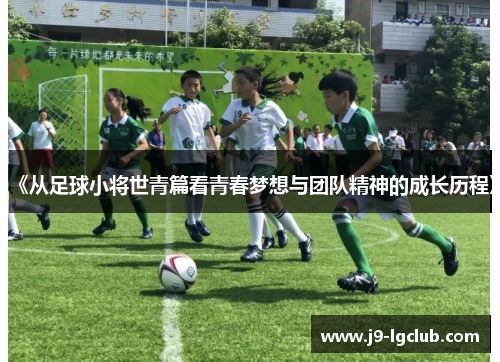 《从足球小将世青篇看青春梦想与团队精神的成长历程》